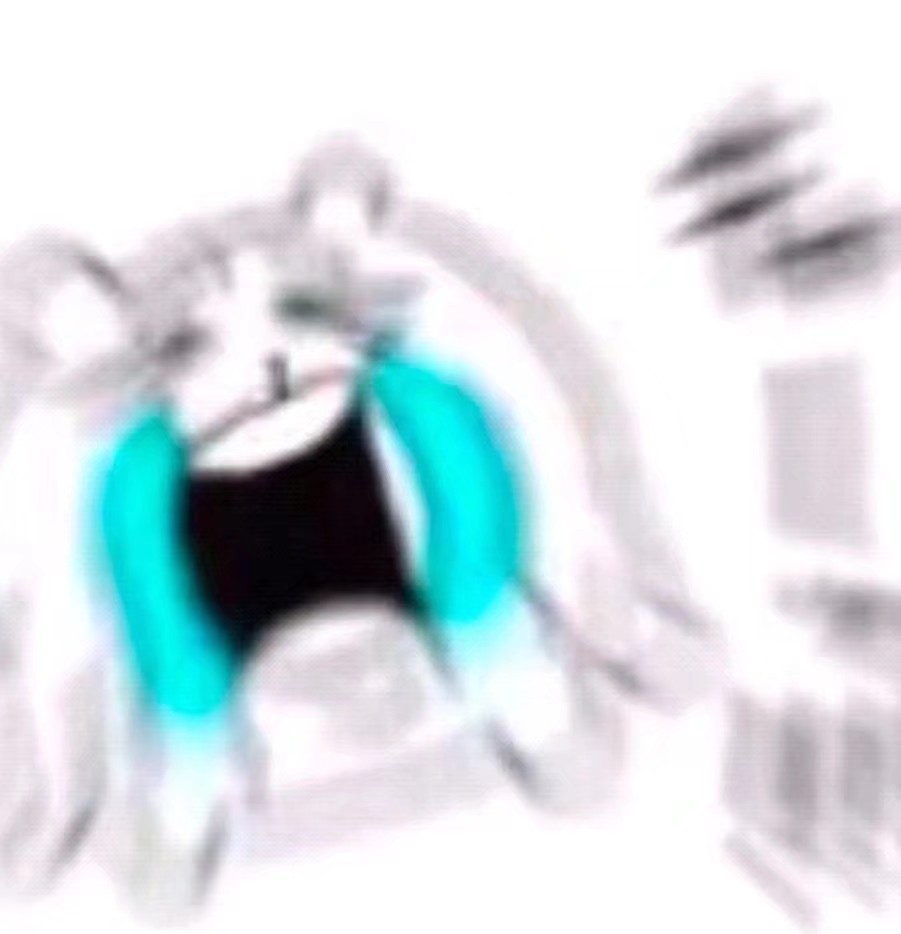 1649511906890.jpeg