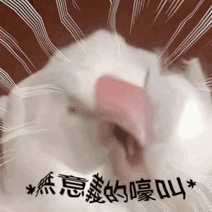 330eb342a2ea4d99.gif