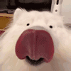 0F922A0AC0C0B0C17D01E4123BF26A7E.gif