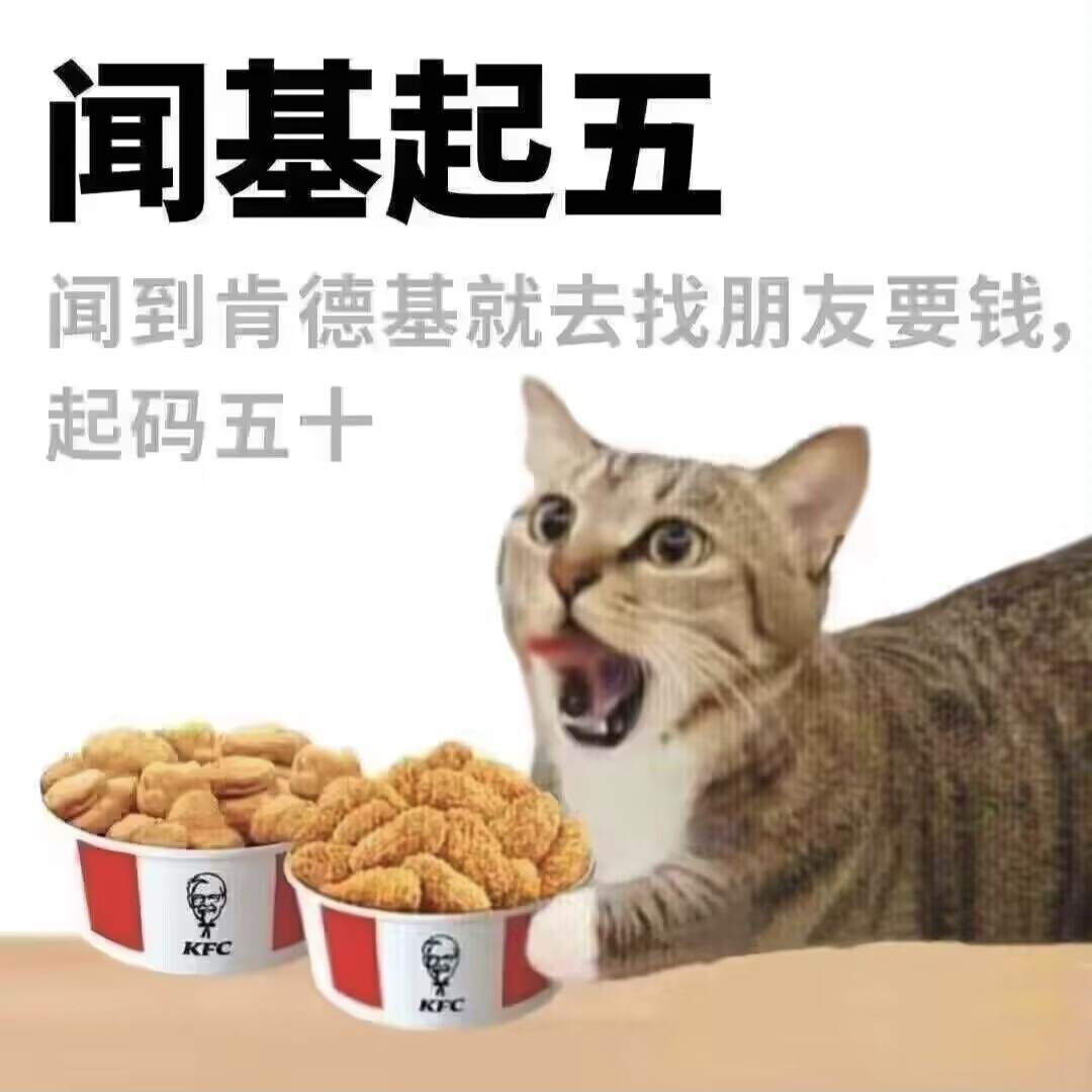 1000071051.jpg